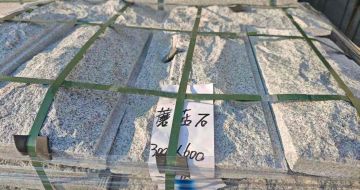 温州芝麻白蘑菇石，自然面