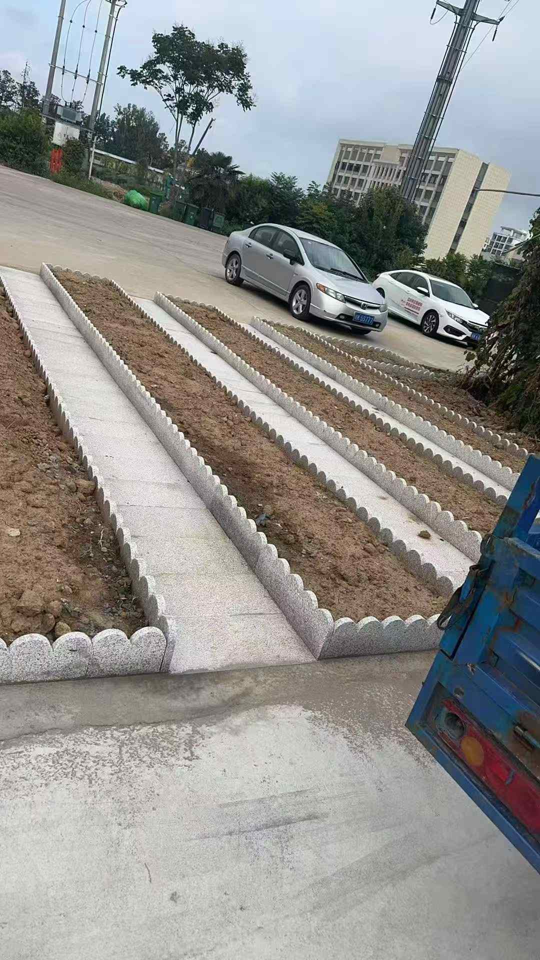温州芝麻白花边石